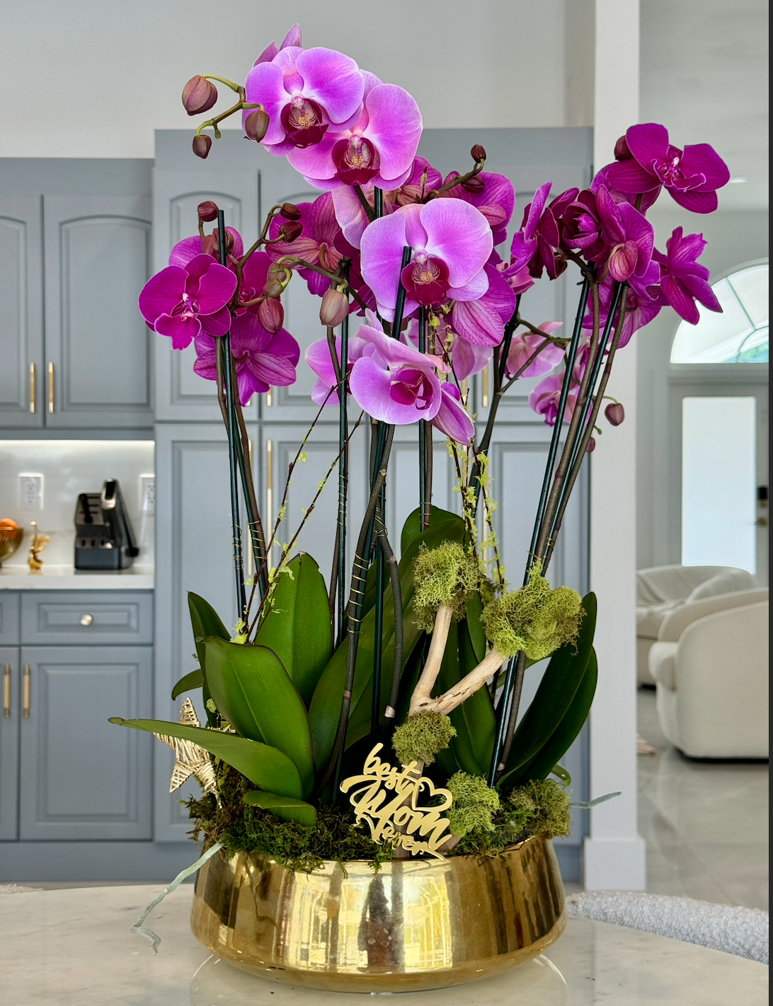 Luxury Orchid Elegance – Premium Arrangement for Mother's Day