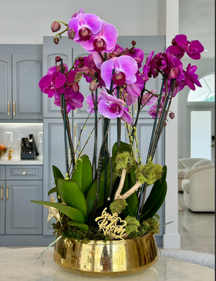 Luxury Orchid Elegance – Premium Arrangement for Mother's Day