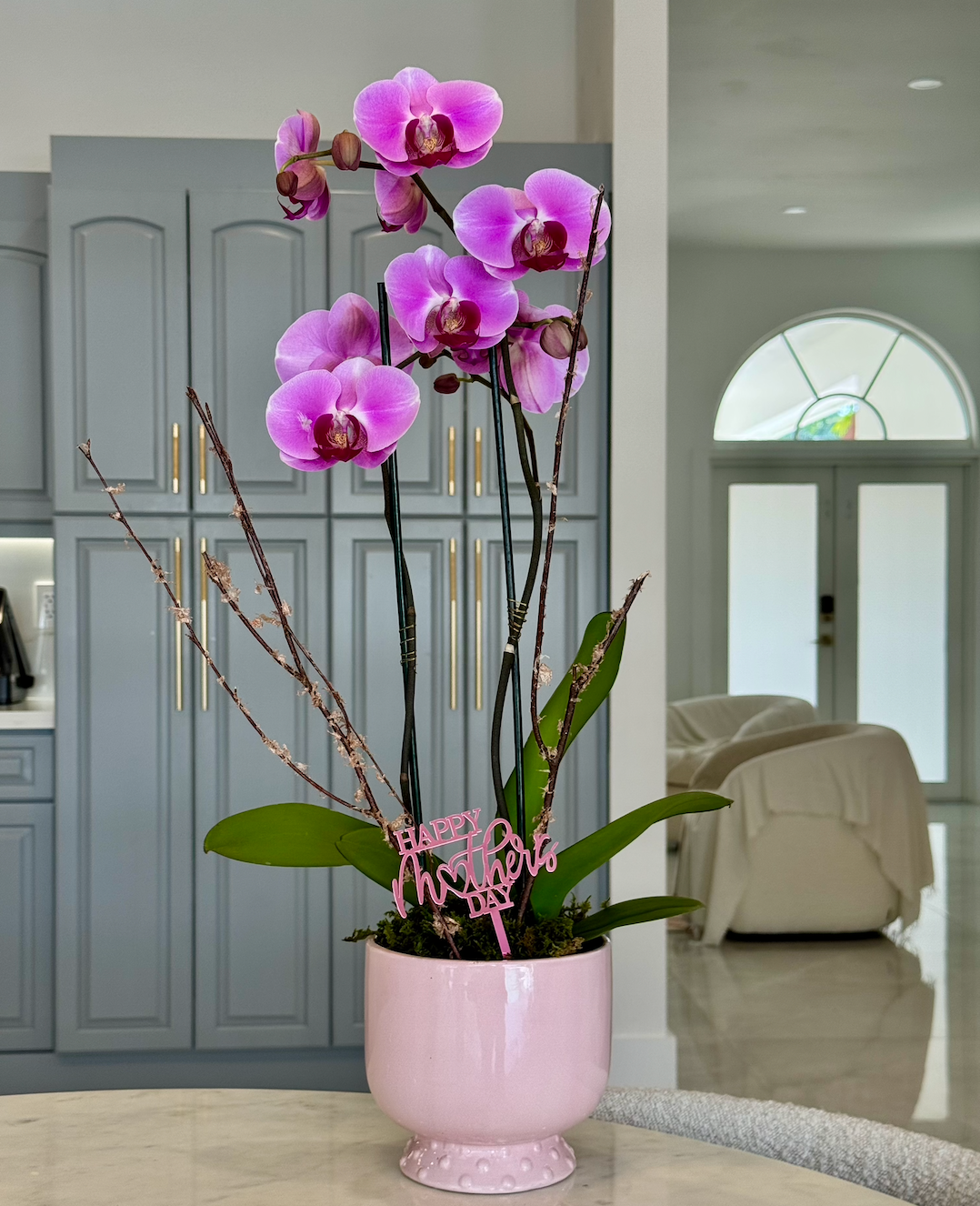 Orchid Arrangement Pink Pot