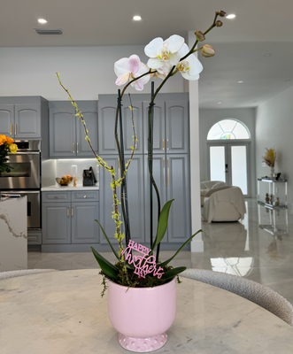 Orchid Arrangement for Mother's Day White