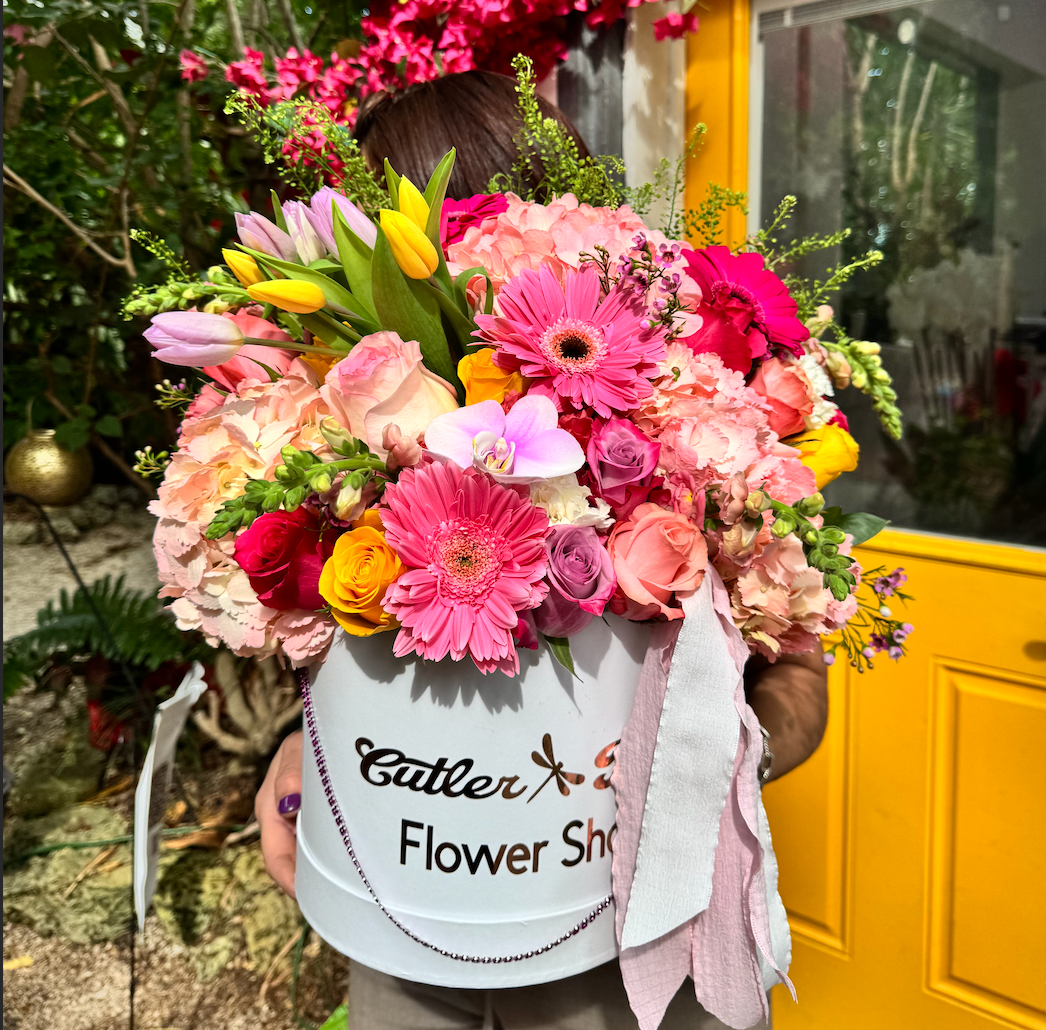 Sweet garden box  Tulips