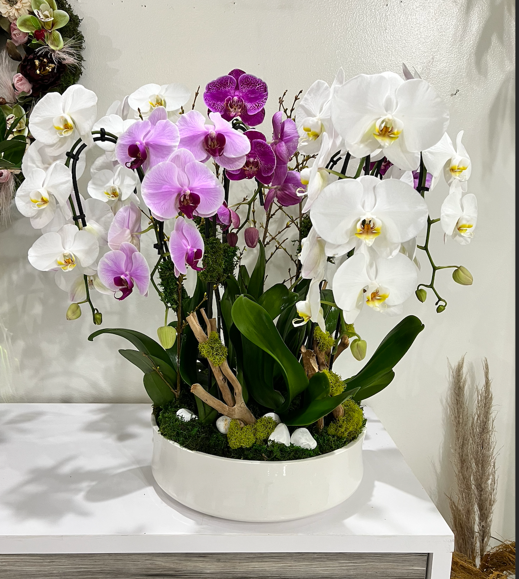 Luxury Seven Orchid Arrangement in Ceramic Vase – Elegant Gift & Home Décor