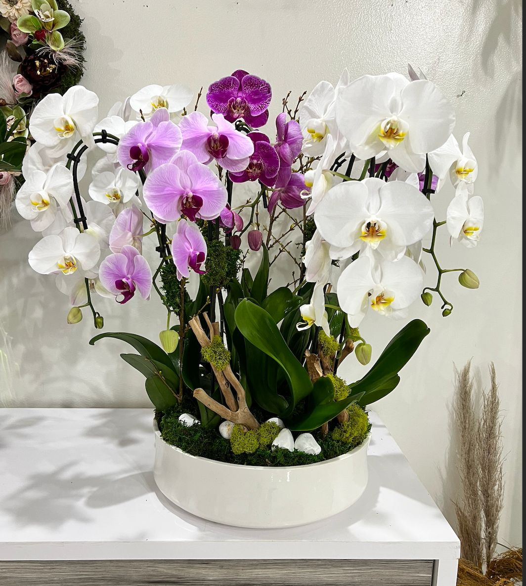Luxury Seven Orchid Arrangement in Ceramic Vase – Elegant Gift & Home Décor