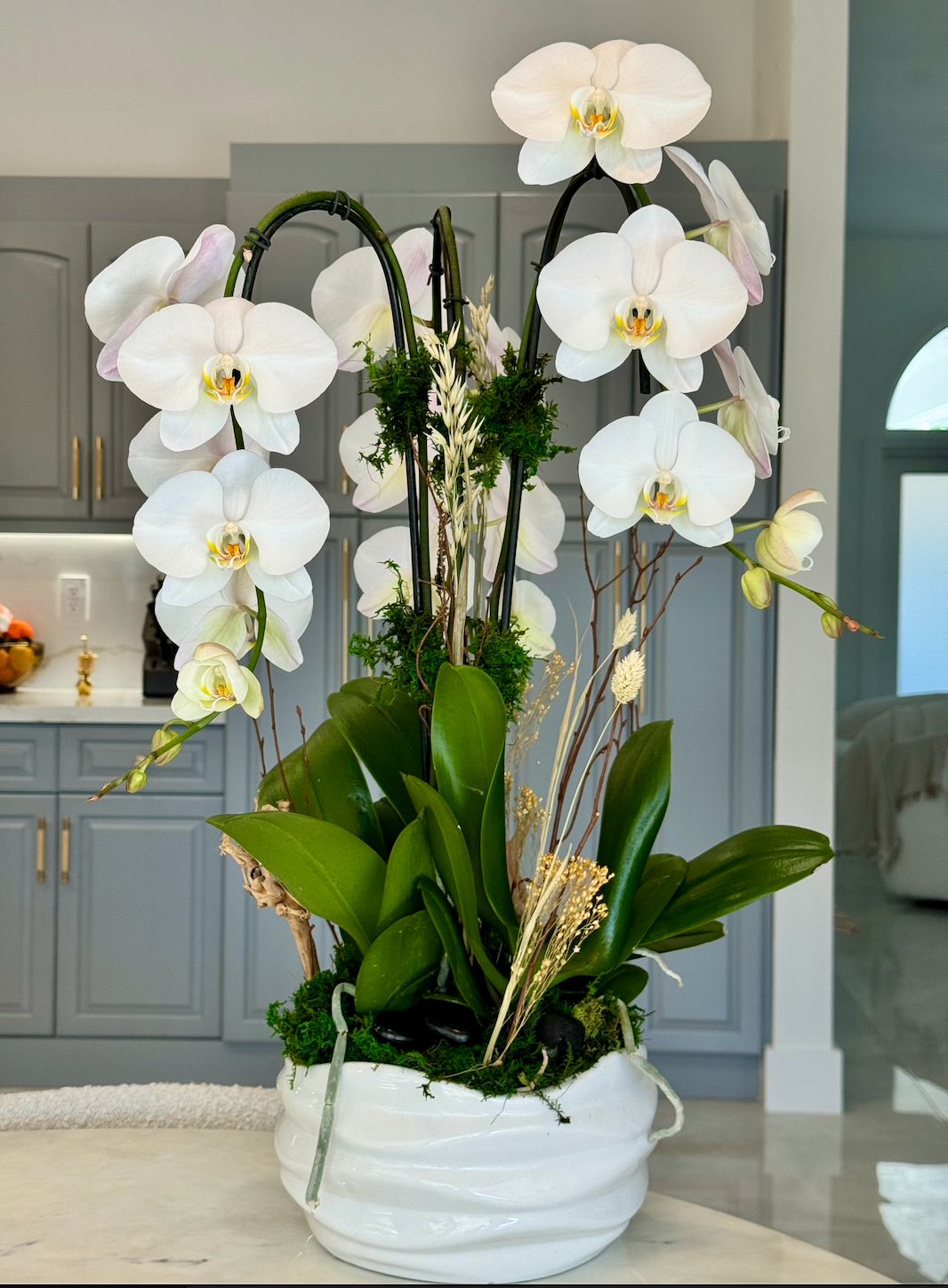 Orchid arrangement  3 plants