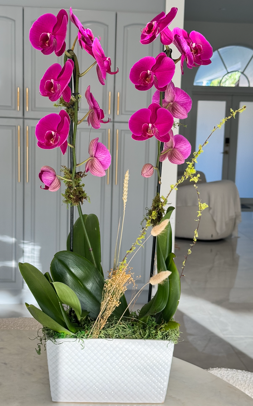 Serene Elegance purple