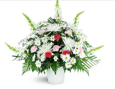 Remembrance Tribute Remembrance Tribute