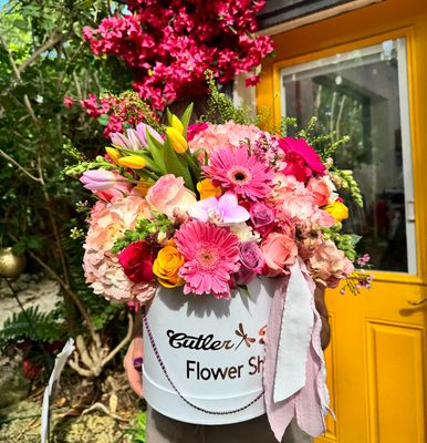 Sweet garden box  Tulips