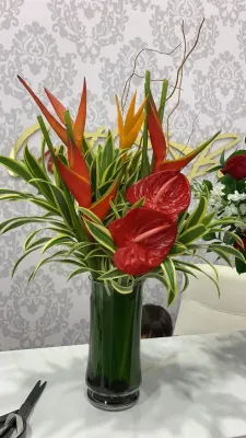 Tropical paradise Tropical paradise