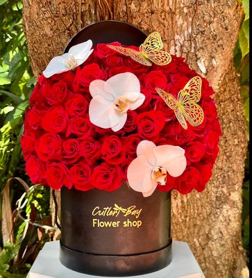 Oasis of Roses and Orchids