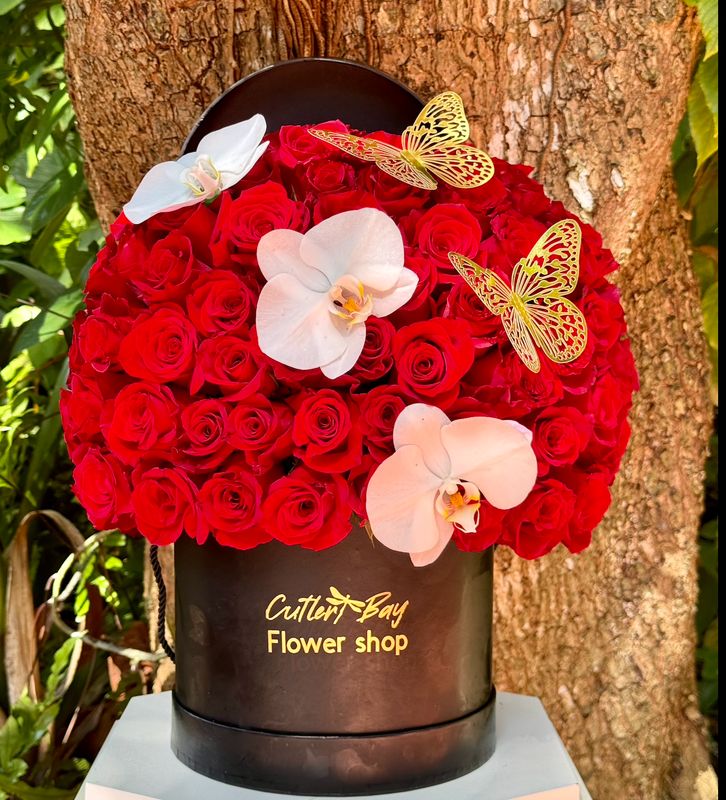 Oasis of Roses and Orchids