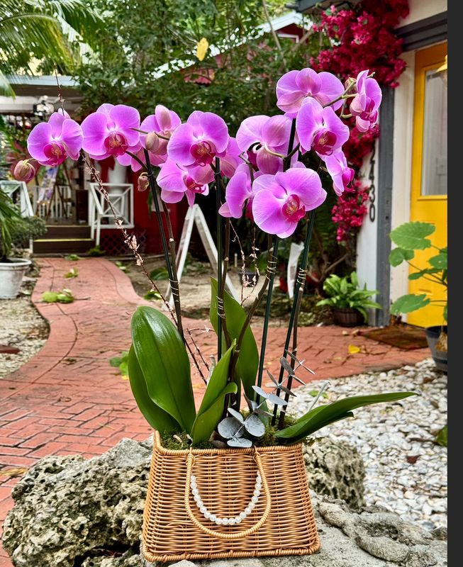 Luxury Orchid Brown Purse Basket