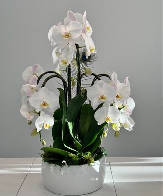 Winter Magic Winter Magic