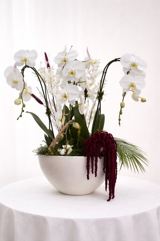 white Phalaenopsis Orchid Garden Arrangement