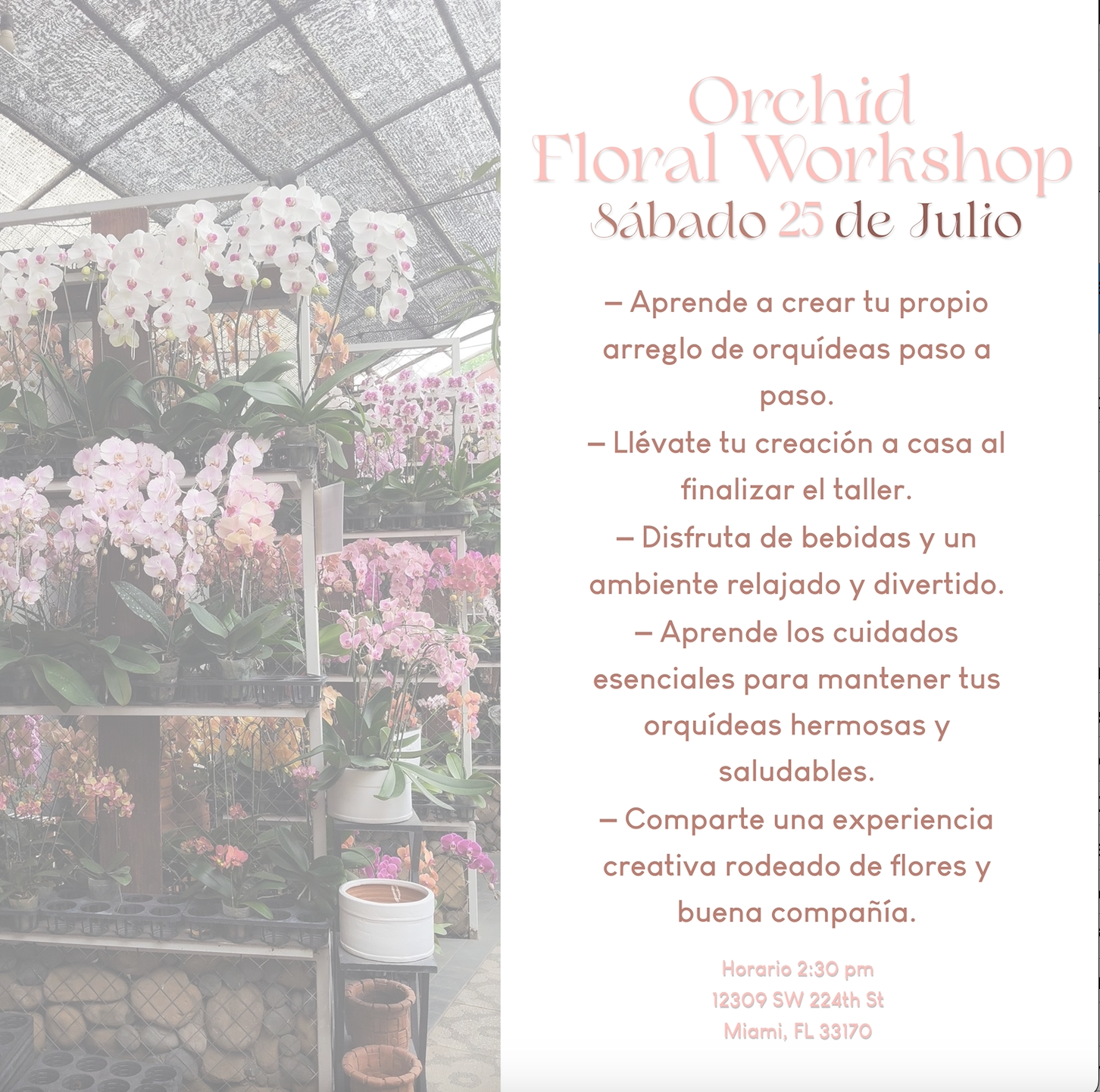 Orchid Floral Workshop  Sábado  25  de Julio