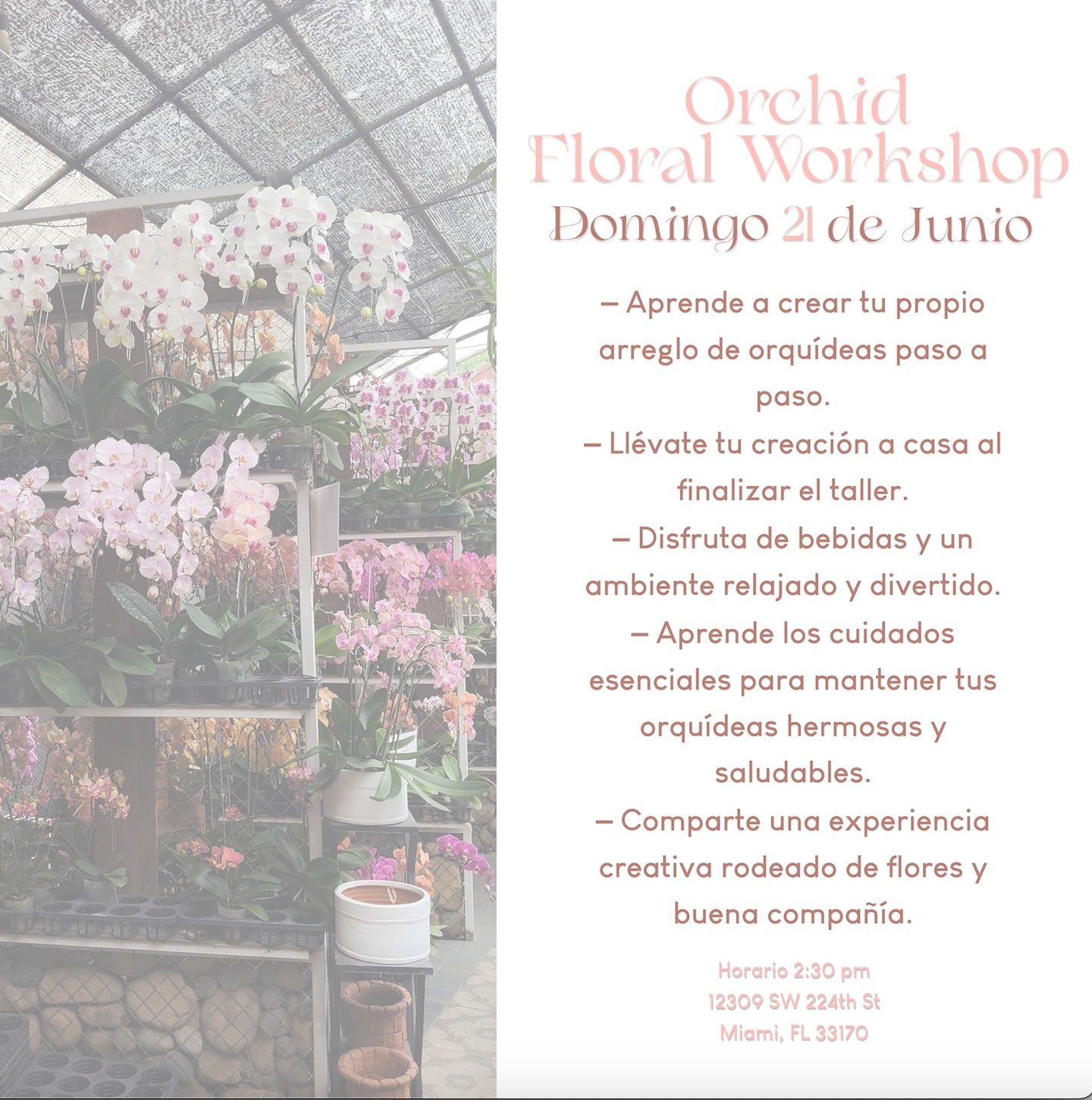 Orchid Floral Workshop  Domingo 21 de Junio