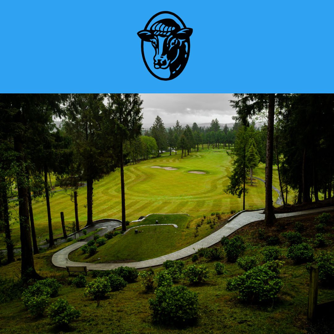 10 Pack Green Fees (9holes) - Standard