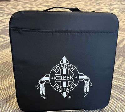 Logo Stadium Cushion