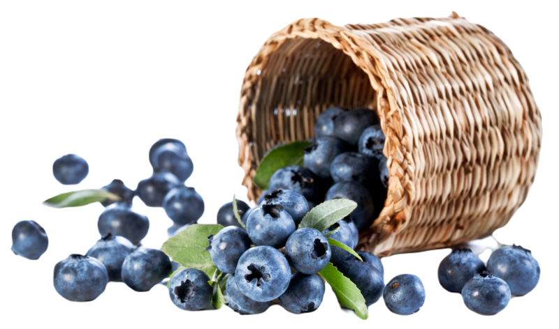 FROZEN WILD BLUEBERRY