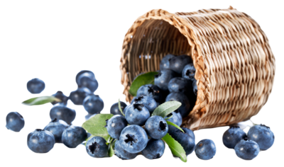 FROZEN WILD BLUEBERRY