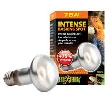 Exo Terra Intense Basking Spot - S20 / 75W
