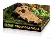 Exo Terra Crocodile Skull