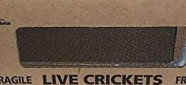 Crickets 1000 count