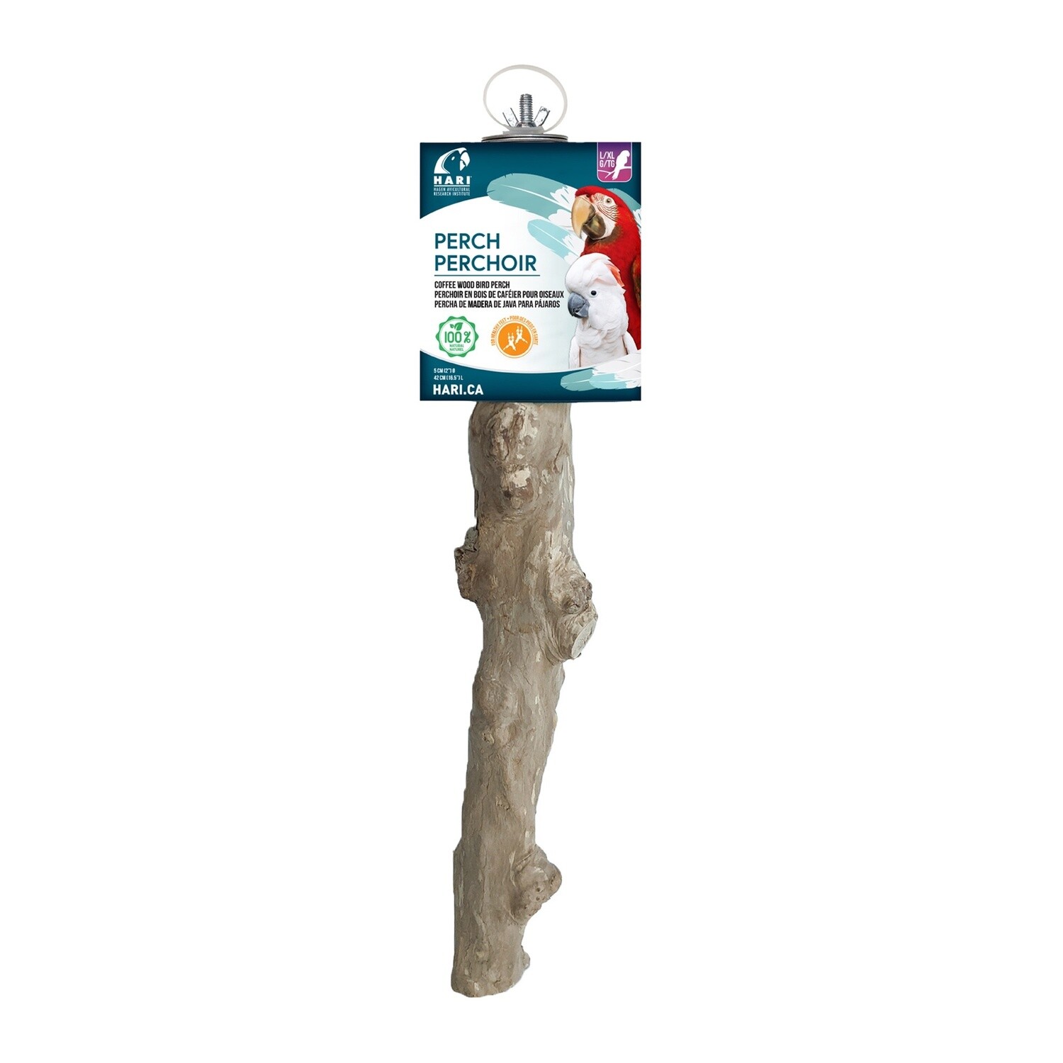 HARI Java Coffee Wood Perch for Large x x large Parrots - 5 cm (2 in) diameter x 42 cm (16.5 in) L