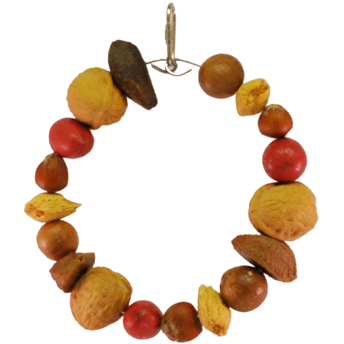 A&amp;E - Happy Beaks - Tropical Delight - Mixed Nut Ring