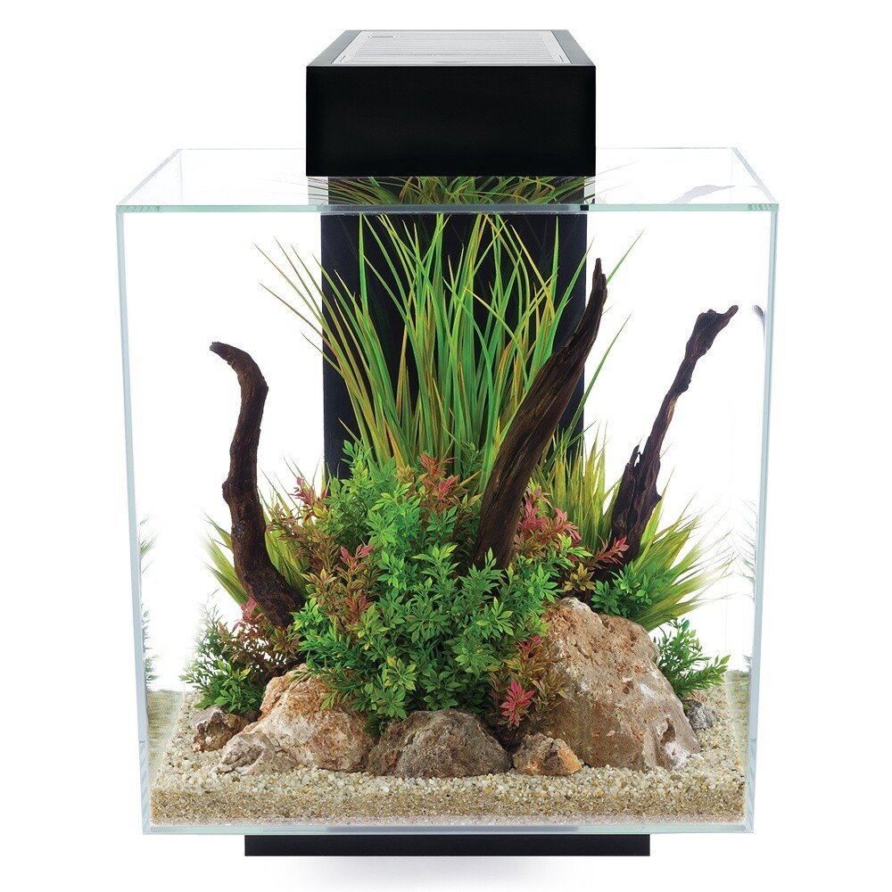Fluval EDGE Aquarium Kit - 46 L (12 US gal) - Black