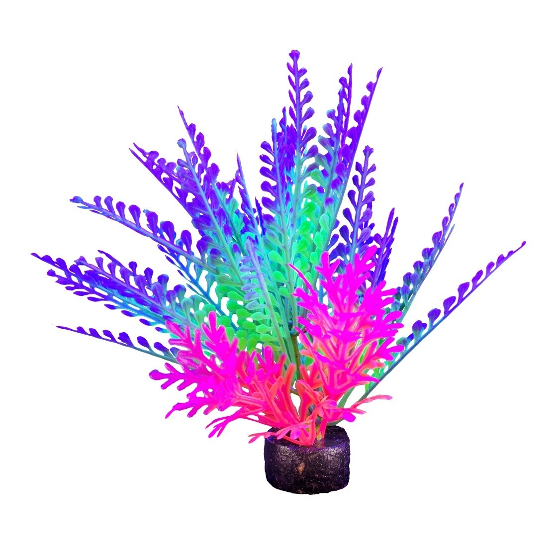 Marina iGlo Plant - 14 cm (5.5 in) - PP1018