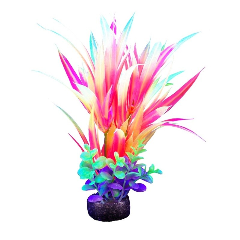 Marina iGlo Plant - Orange and Purple -  5.5&quot;