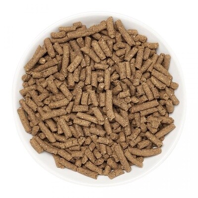 Marshall - Ferret Diet - 22oz