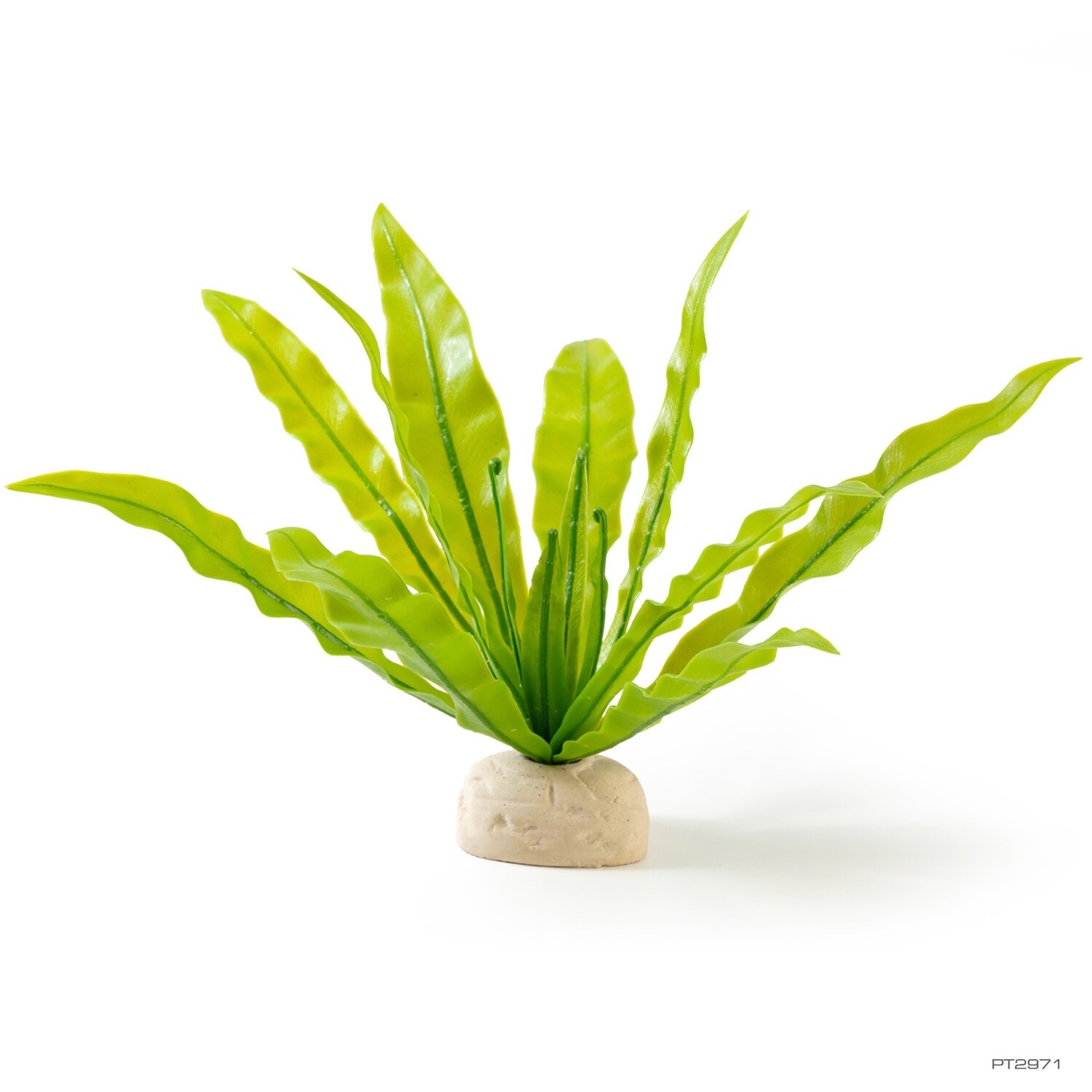 Exo Terra Bird&#39;s Nest Fern Plant