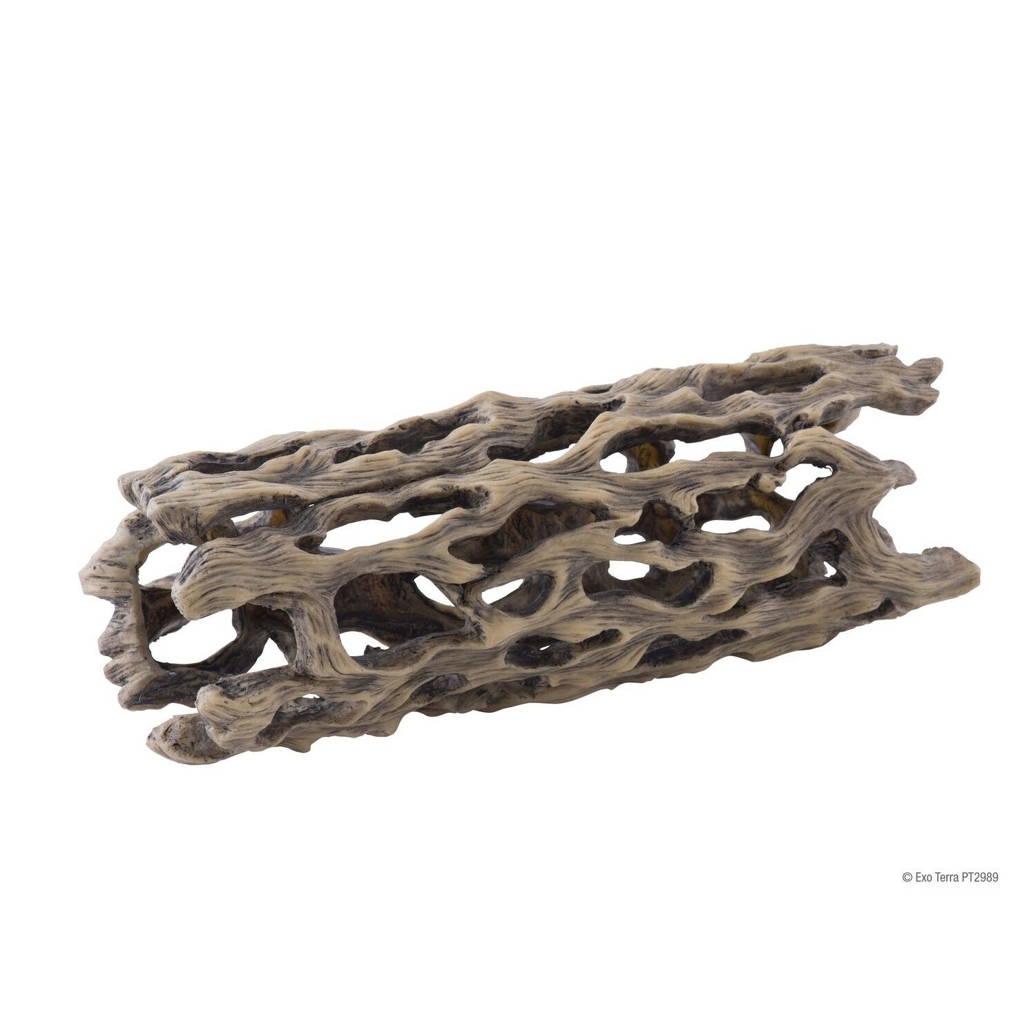 Exo Terra Cholla Cactus Skeleton - Large - 11.5 x 28 cm (4.5in x 11in)