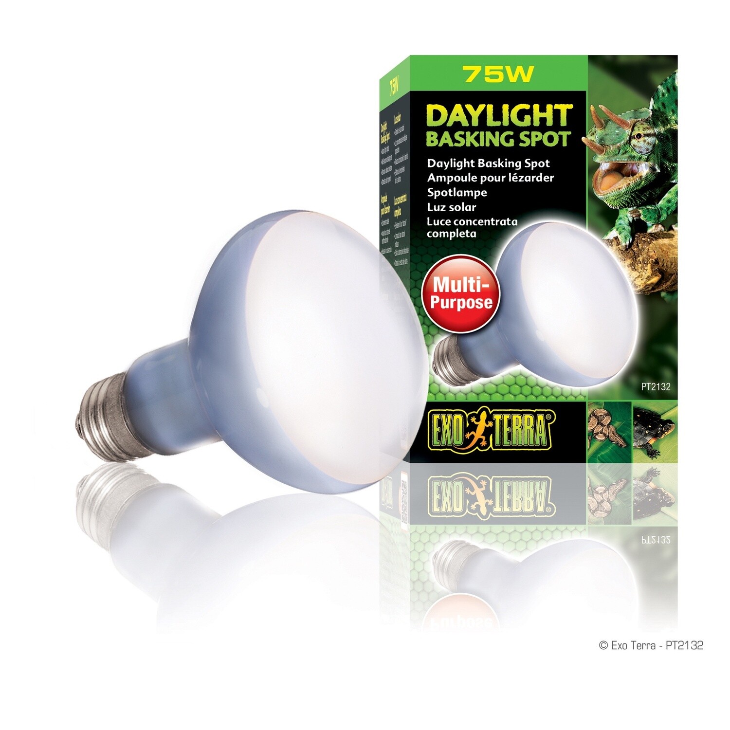 Exo Terra Daylight Basking Spot Lamp - R20 / 75 W