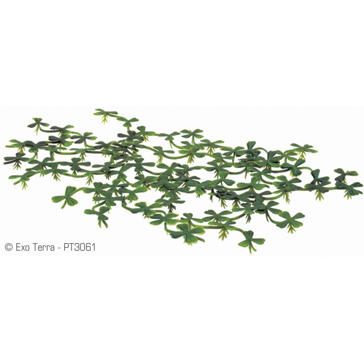Exo Terra Duck Weed