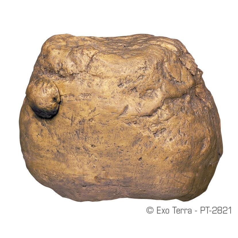 Exo Terra Feeding Rock