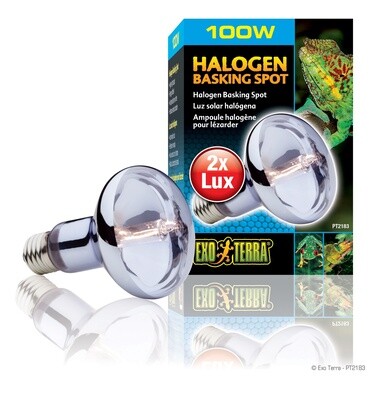 Exo Terra Halogen Basking Spot - 100 W