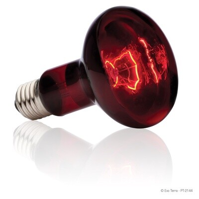 Exo Terra Infrared Basking Spot - R25 / 100W