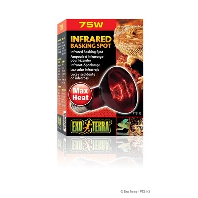 Exo Terra Infrared Basking Spot - R20 / 75W