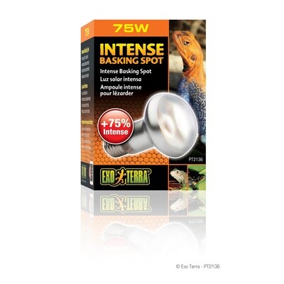 Exo Terra Intense Basking Spot - S20 / 75W