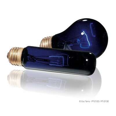 Exo Terra Night Heat Lamp - T10 / 25W