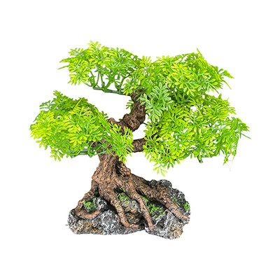 Komodo Bonsai Tree Standard Small Plant Decoration