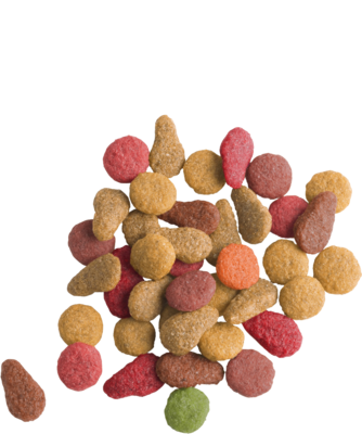 Versele-Laga - Lara - Adult - Salmon - 1.9kg - Cat Food