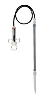 Two Little Fishies - Julian&#39;s Thing