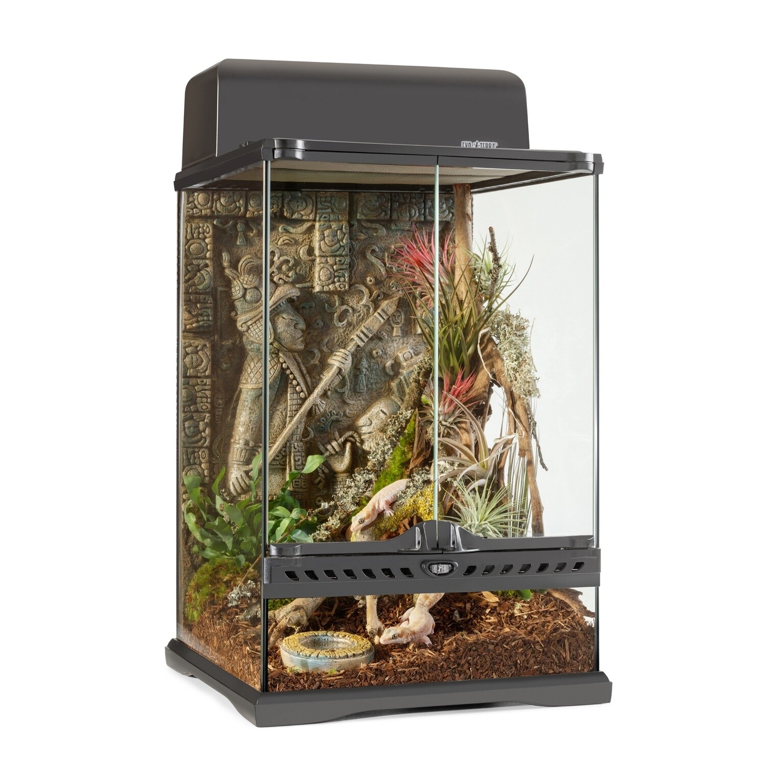 ExoTerra - Aztec Terrarium, Mini-Tall - 12x12x18
