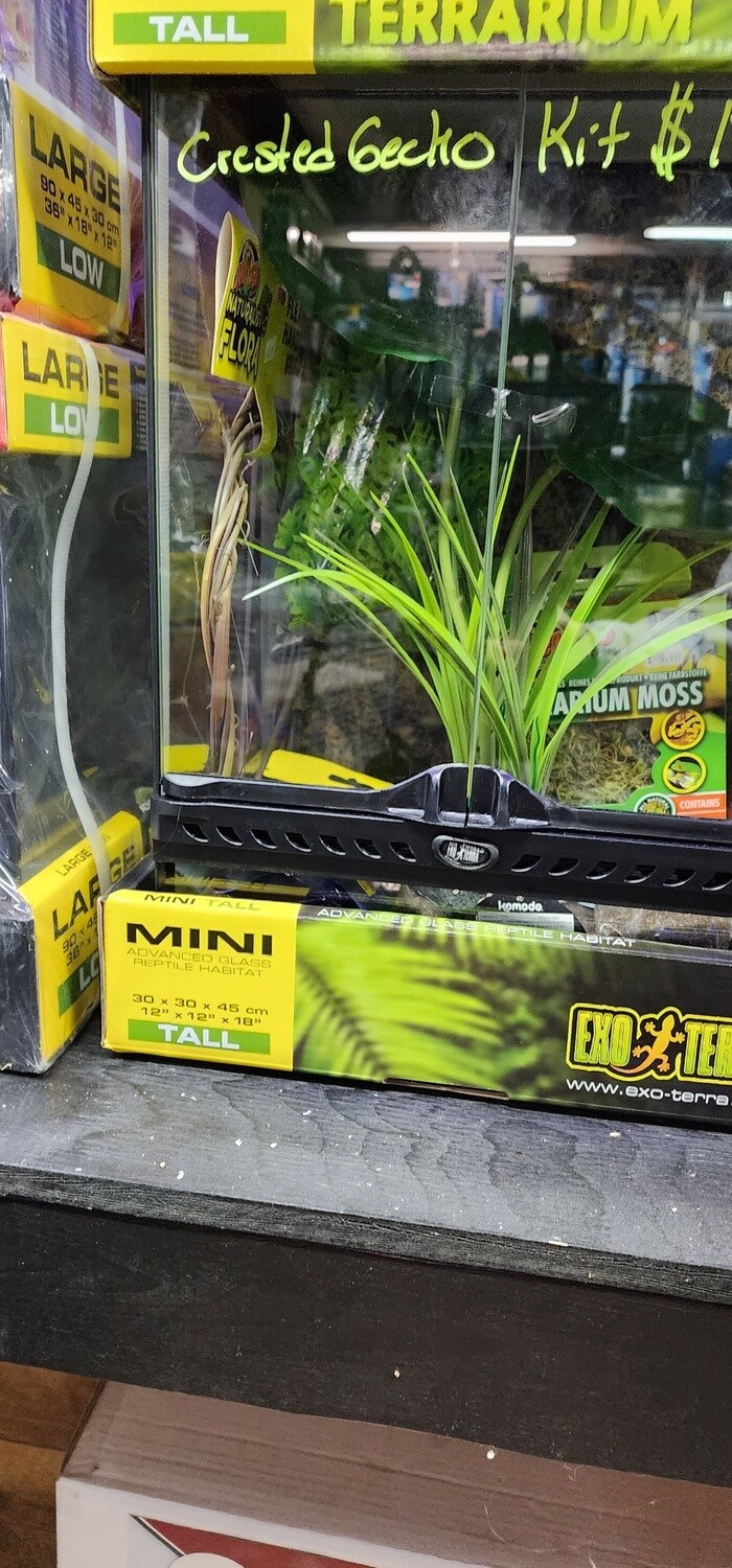 Premium Crested Gecko Kit - 12&quot; x 12&quot; x 18&quot; (30cm x 30cm x 45cm)