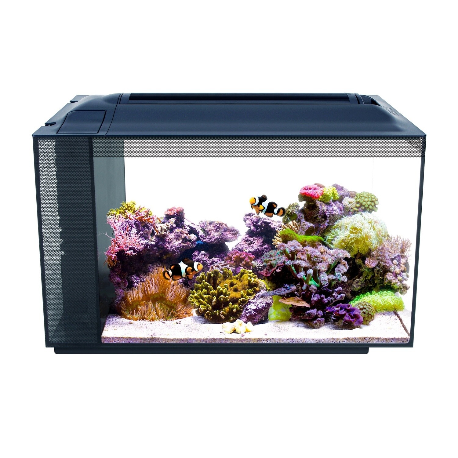 Fluval Sea EVO Aquarium Kit - 52 L (13.5 US gal)