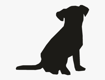 Dog Food &amp; Nutrition