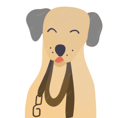 Leashes, collar , harness, training tools